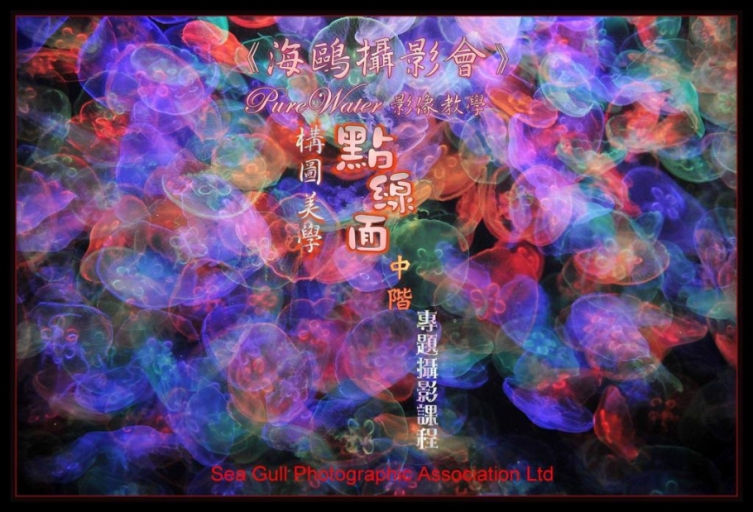 影像教學《構圖美學-點線面》中階-2021(額滿, 多謝支持)